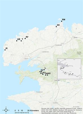 The Occurrence of Intersex in Different Populations of the Marine Amphipod Echinogammarus marinus in North-West Brittany – A Longterm-Study